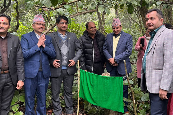 ‘बाघ गणनामार्फत विस्तृत अध्ययन गर्न सक्छौँ’